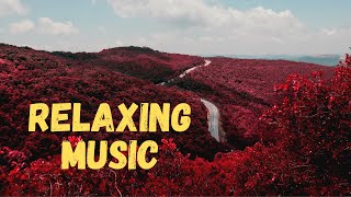 Relaxing Music for Quarantine, Healing Music, Meditation Music, Sleep Music, Zen, Study Music,