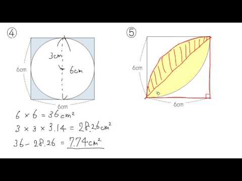 円の面積：練習応用