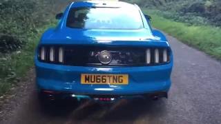 grabber blue mustang