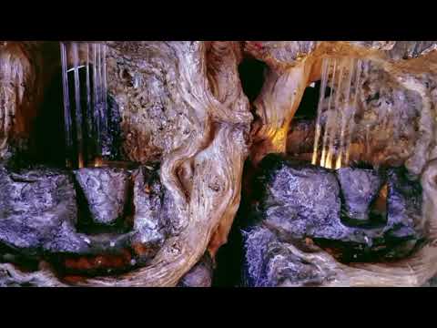 شادي جميل لا ريم ولا غزلان