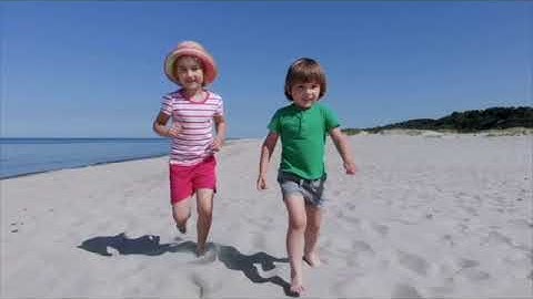 Beehive 1 Culture video Unit 4