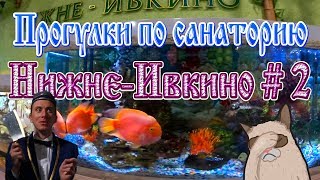 Прогулки по санаторию Нижне-Ивкино. Киров.Часть 2.