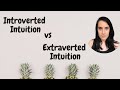 Extraverted Intuition (Ne) vs Introverted Intuition (Ni)
