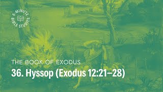 36. Hyssop (12:21-28) | Paul Tripp's Weekly 5-Minute Bible Study on Exodus