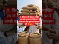 🌾 मेरी फसल के मिले अच्छे दाम 😍 | किसान की मेहनत रंग लाई 💰🚜 #Shorts