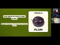 TEMA 2 II BIM INGLÉS PRIMARIA I CLASE 2