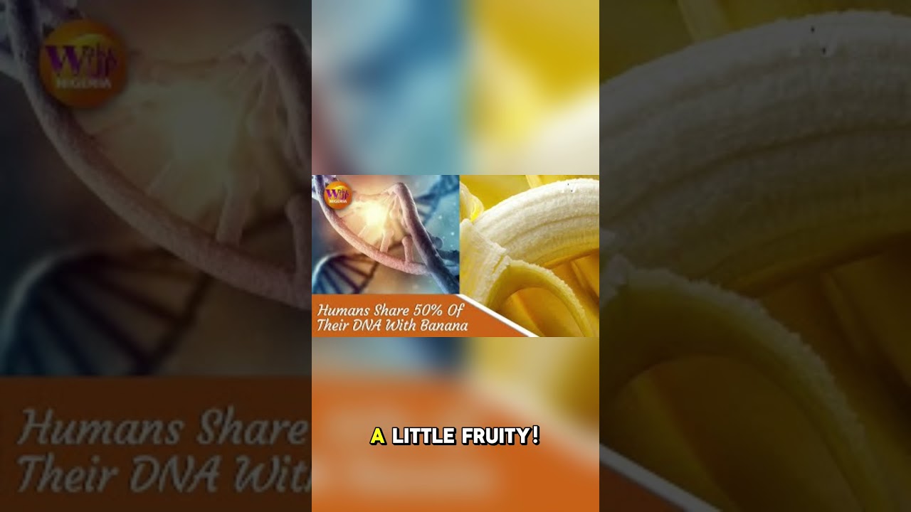 Funniest Human Facts Around the World! 