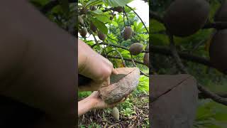 🥥 #Virtual reality#Yoga stretch#Beauty products#Making bread#Knitting#Nuclear physics#Personal finan