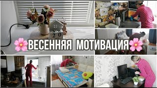 Порядок в КВАРТИРЕ🌸/ ЗАКУПКА продуктов перед ВЫХОДНЫМИ👍🏻/ МОТИВАЦИЯ🛋