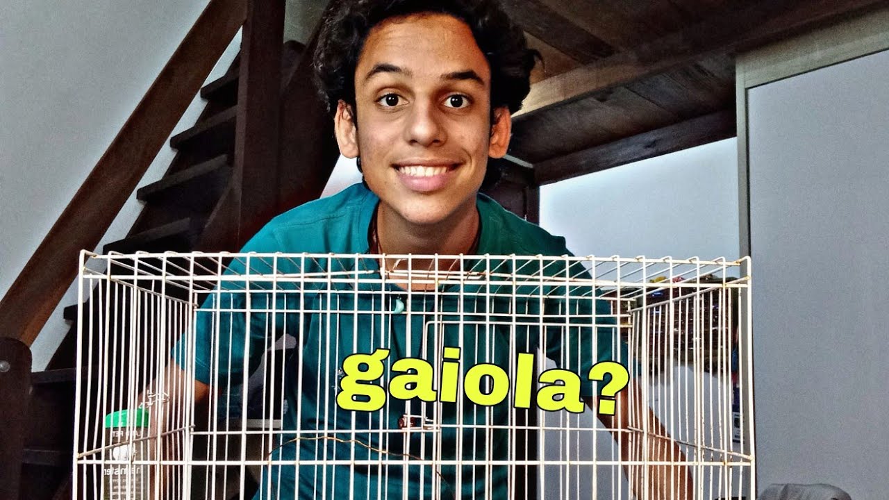 ONDE POSSO COLOCAR O MEU PORQUINHO DA ÍNDIA??