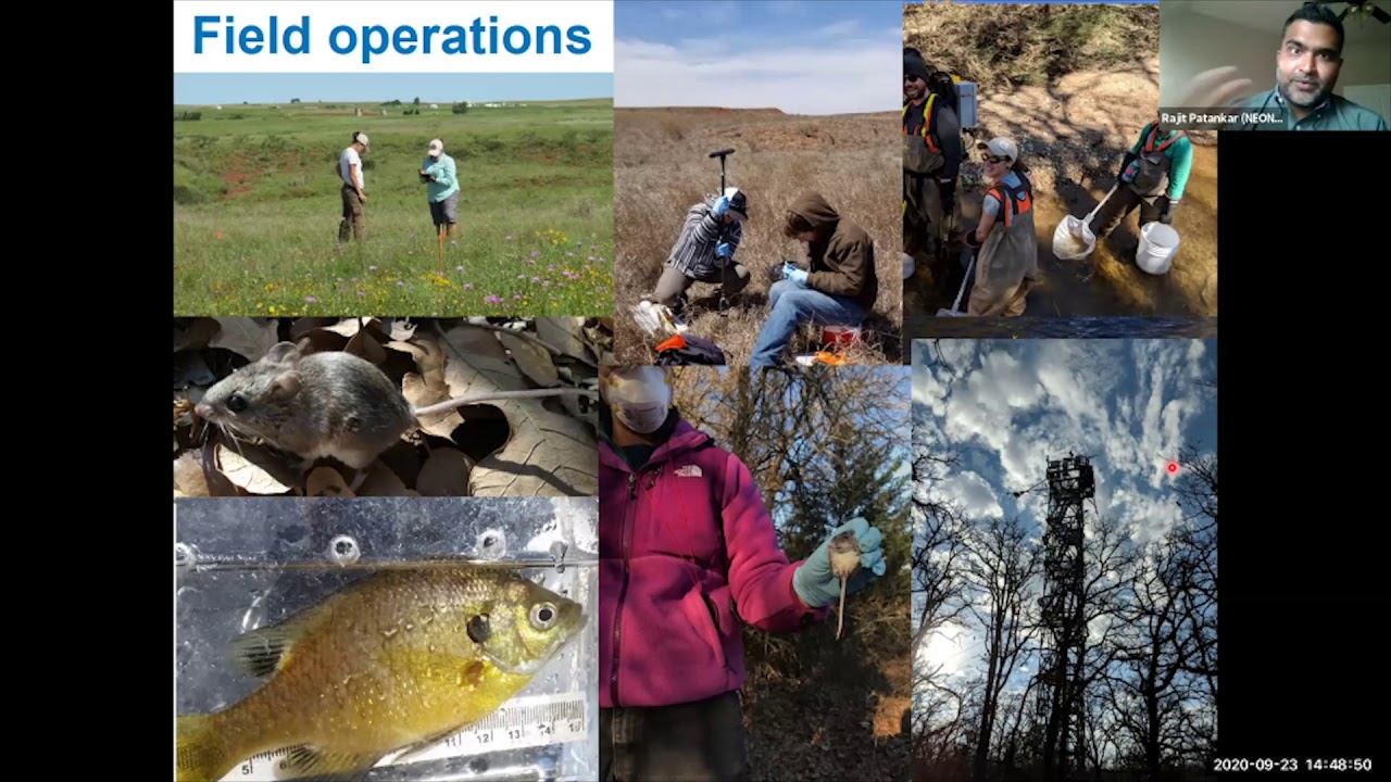 2020 Conference National Ecological Observatory Network NEON project at the Blue River– Dr  Rajit Pa