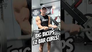 Big Bicep Curls!