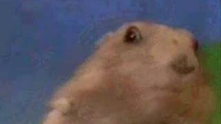 Dramatic Gopher