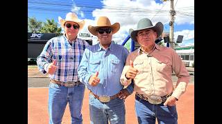 Bate papo: Palito, Almir Cambra e Enrique Moraes