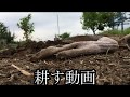 ただ、スコップで耕す動画。