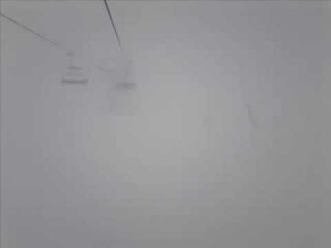 სანდრო ცაავა - თეთრი დღე