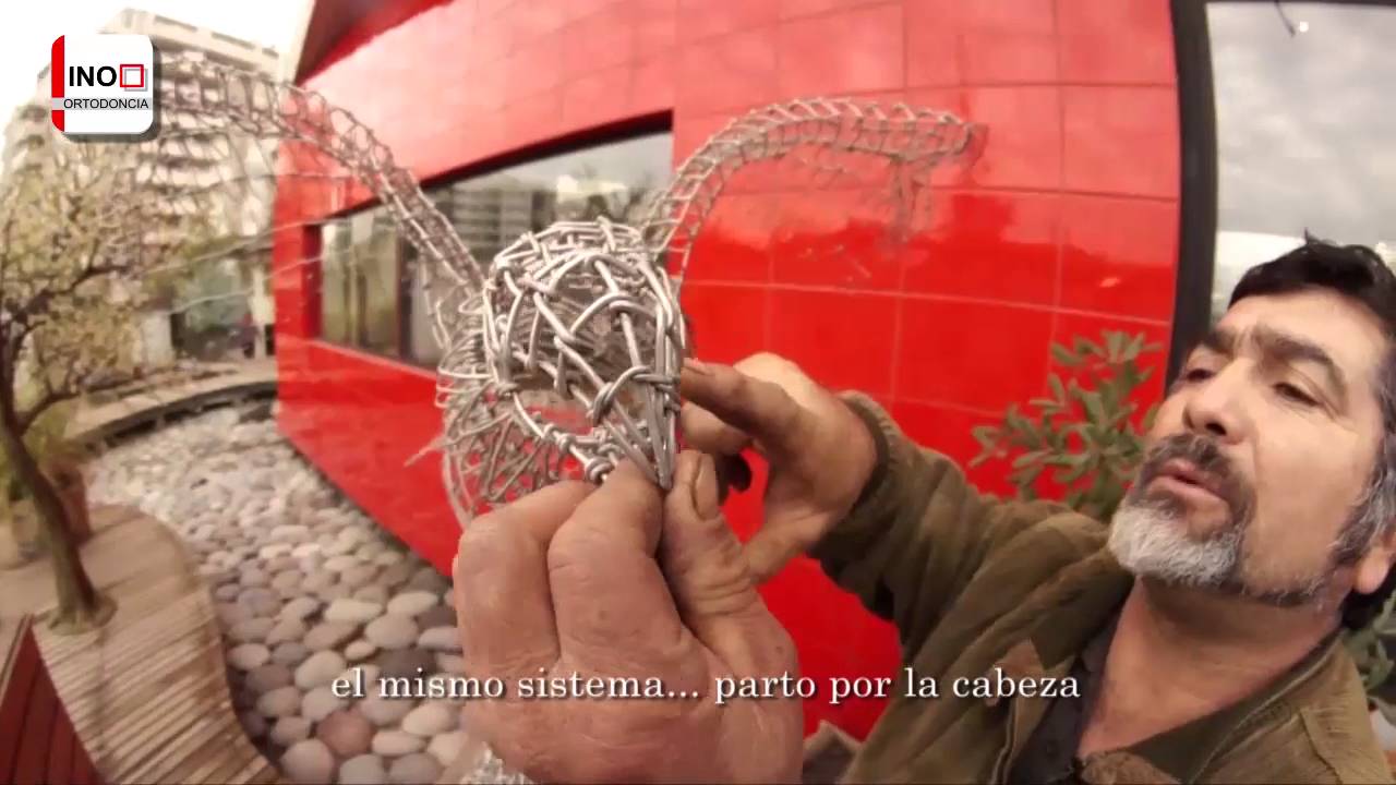 Instituto Nacional de Ortodoncia - Figuras Alambre