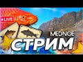 🍁 МЕДНЫЙ РЫБАК 🍂 ФАРМ ЗАРАБОТОК НА КАРПАХ + ШАНС НА ТРОФЕЙ Русская Рыбалка РР4