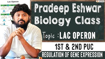 The Lac Operon | Regulation Of Gene Expression | Pradeep Eshwar Biology Class | 2nd PUC