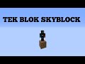 ADAMIZIN KUYUSU !!! TEK BLOK SKYBLOCK #2