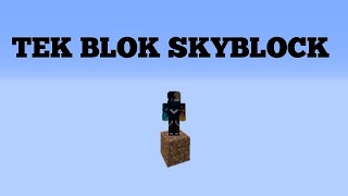 ADAMIZIN KUYUSU !!! TEK BLOK SKYBLOCK #2