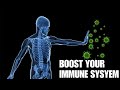 Immune-boosting Foods You Need To Try