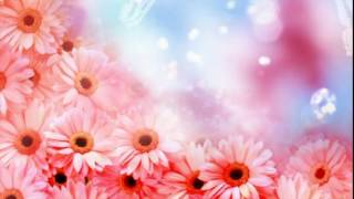 Футаж фона   Красивые цветы,красивое видео