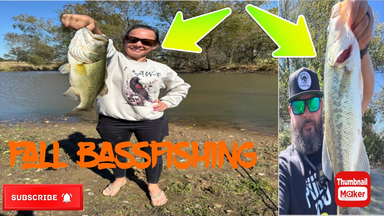 Fall Fishing Catching All The Pond Bass #fishing #bassfishing #fishinglife