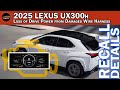 Lexus UX300h Owners Beware Supplier Issues Can Cost You Big!