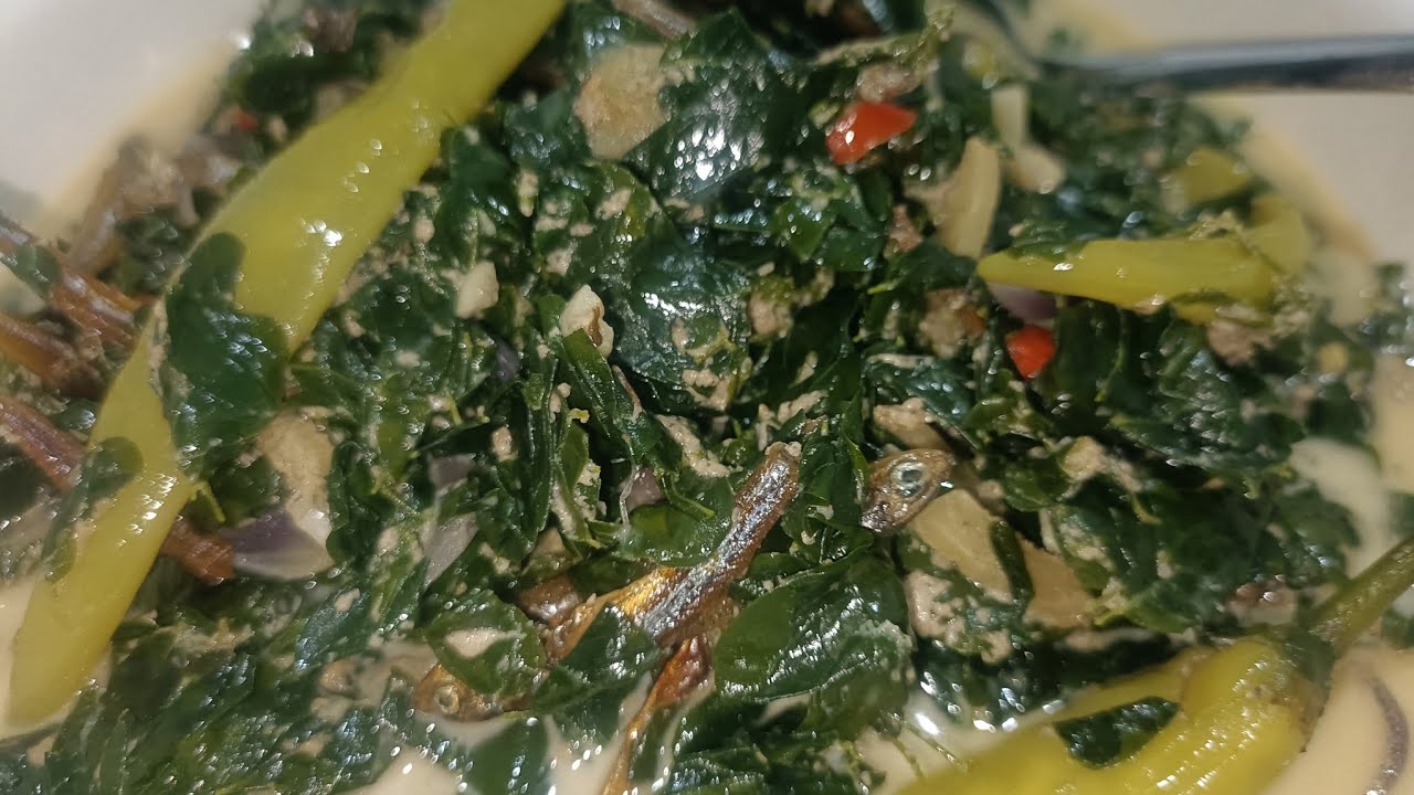Spicy Creamy Ginataang Malunggay with Dilis👨🍳🫕🤤 - YouTube