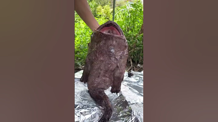 This fish is so ugly | Chinese Mountain Forest Life and Food #Moo Tik Tok#FYP