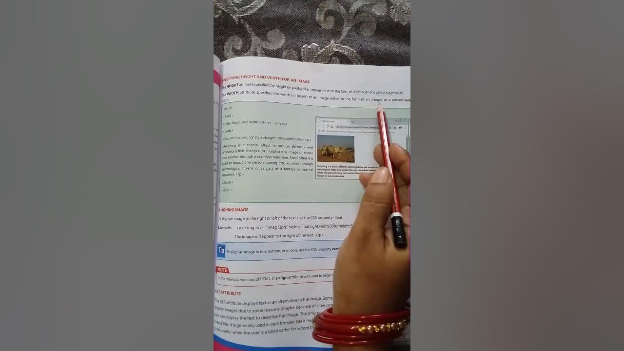 Part-1 Class-8 Chapter-8 Images and Link In HTML-5 - YouTube