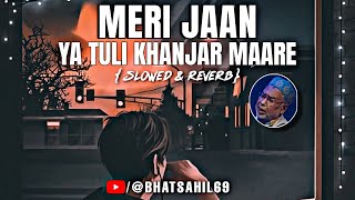 Meri Jaan | Ya Tuli Khanjar Mare | Slowed And Reverb Songs | Abdul Rashid Hafiz | Asees Kaur