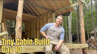 Building an Off Grid Tiny Cabin Day 10