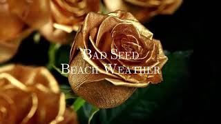 Beach Weather - Bad Seed (slowed + reverb)