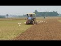 New Holland TT55 Tractor Cultivation