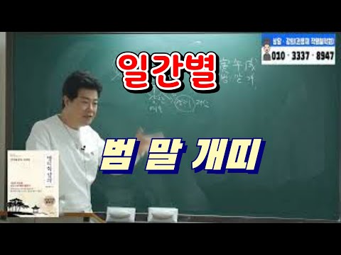 [원포인트레슨]일간별 범 말 개띠 특징