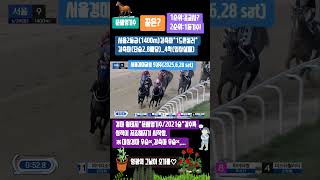 경마 황태자*문세영기수/2021승*갈수록성적이 저조해지기 시작함.※대상경마 우승×,강축마 우승×,...