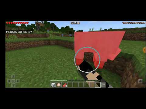 მაინკრავტი ჩემ დასთან ერთად