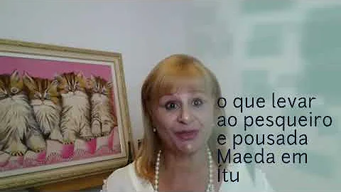O que levar no Parque Maeda?