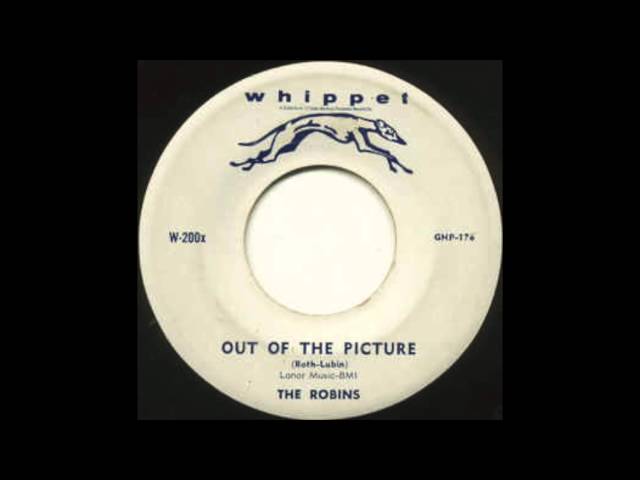 The Robins - Out Of The Picture