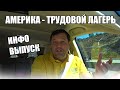 АМЕРИКА - ТРУДОВОЙ ЛАГЕРЬ / БЛАГОТВОРИТЕЛЬНОСТЬ В США