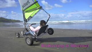 Blokarting at Muriwai beach