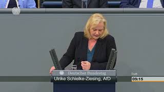 AfD macht Bundestag! Alle Reden der 56. Sitzung 12. Oktober 2018