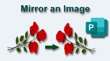 How to mirror an image in Microsoft Publisher