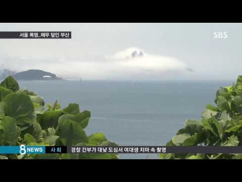 Thick Sea Fog Blankets Haeundae… A Dreamy Atmosphere / SBS