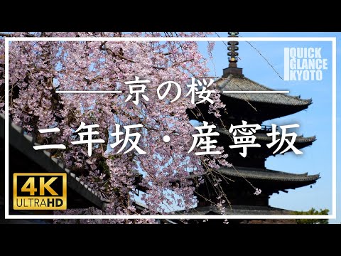 【京都 桜の名所】東山 二年坂・産寧坂 〜京都の風情感じる町並みを満開の桜が美しく彩ります。心弾む陽春の東山をご覧ください。 [No.117] #桜 #京都の桜