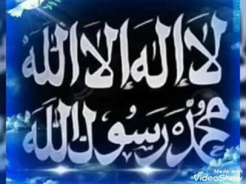 إلي باب طه شددنا الرحال فضيلة الشيخ عبد الله عزب رحمه الله 