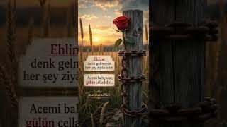 Kıymet Bilene Denk Gelmek Nasiptir ✨