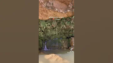 زينها زين غزال ساكنة بين خنيفرة وبني ملال الاطلس الشيخات طوندونس الجزائر تونس المغرب فاتي دوكا 